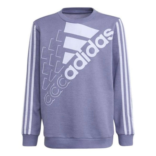 (GS) adidas Sportswear Logo Sweatshirt Asia Sizing 'Purple White' GS2181